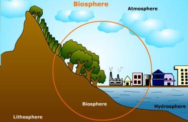 biosphere-illustration